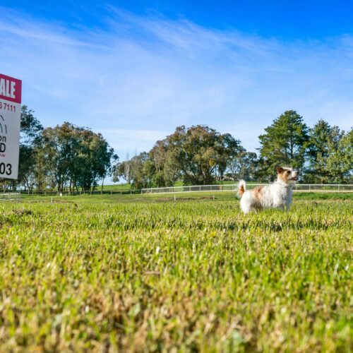 How to buy a block of land?